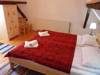 Загородные дома Pension Bunica Eugenia Сибьел Двухместный номер с 1 кроватью или 2 отдельными кроватями-17